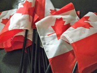 image of Canadian flags.